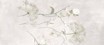 Botanical White Faccia C Rettificato 120x278
