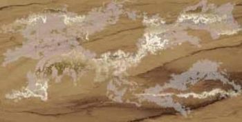 Decor Solitaire Gold Visone Lapp Rett 60x120