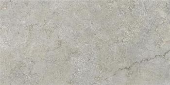 GOBI NATURAL MT 60X120 RECT (S-TECH)