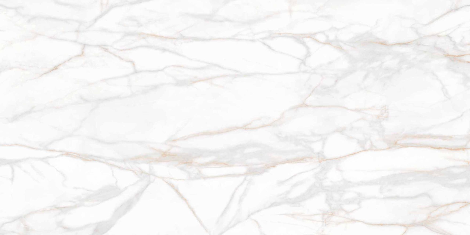 Керамогранит SM 01 80x160