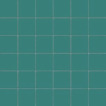 Salvia Su Rete 10x10 30x30