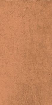 Lemmy Pumpkin LY08 60x120