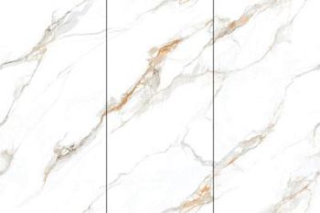 Calacatta Gold 120x240
