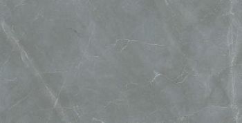 Armani Natural Dark Grey 60x120
