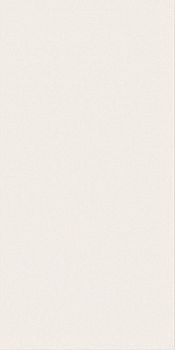 Плитка Экспириенс Уайт 40х80