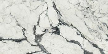 Calacatta Altissimo Glossy 40x80