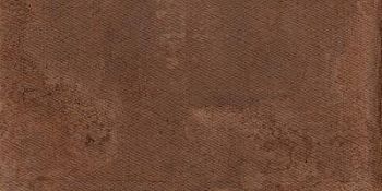 Copper Skin 59.55x119.3