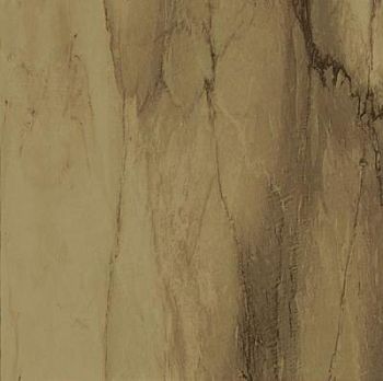 Visone 30.4x30.4