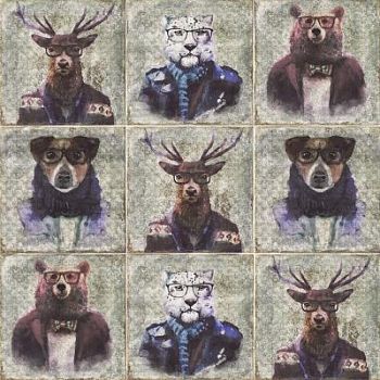 Decor Celebrity Mix 20x20