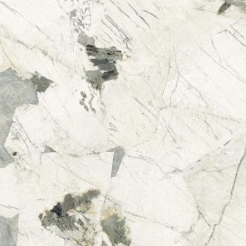 Pat Wh6 120 Lp 120x120