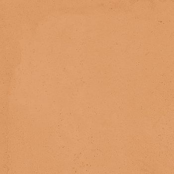 Керамогранит Vita Cotto Mat 20x20