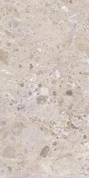 P-PETRA TAUPE ARTECH 60*120
