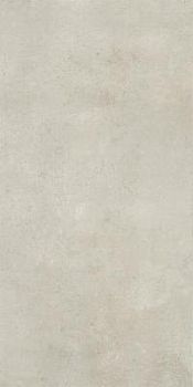 Gray Beige 60x120