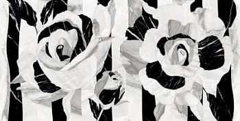 Tarsia Full Lappato 60x120