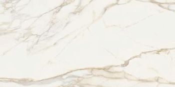 Magnificent Calacatta N R 60x120