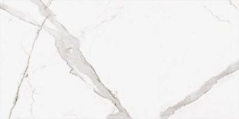 Calacatta Oro 60x120 5мм Matt