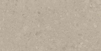 Flodsten Earth 60x120