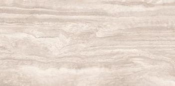 Evora Gris MT 59x120