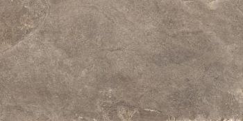Taupe 30.5x60.5