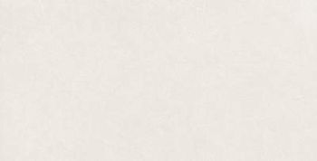 Dust White 60x120