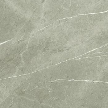 Taupe Natural 60x60