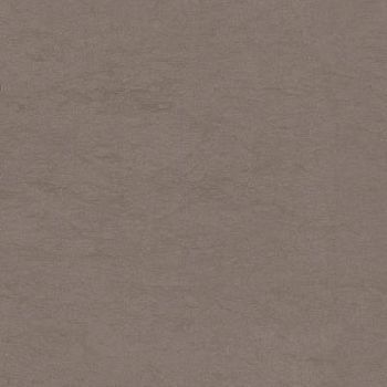 Gray Lapp Rett 30x30