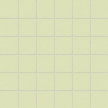 Fieno Su Rete 10x10 30x30