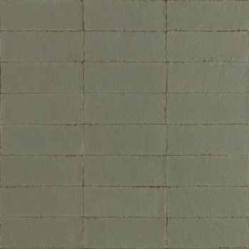 Ragno Glace Muschio 7.5x20