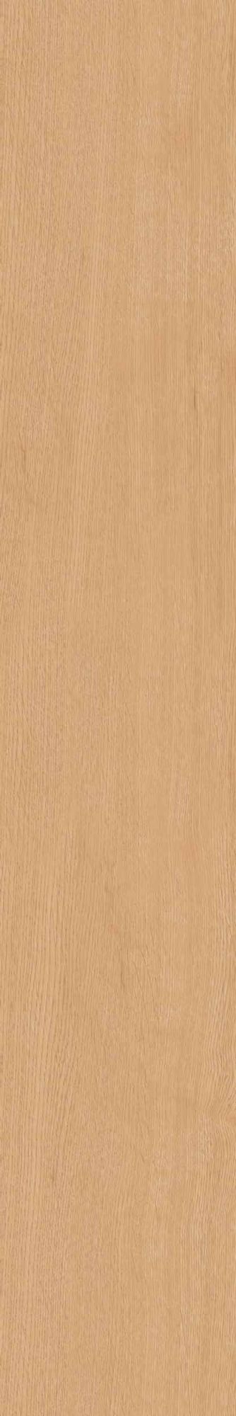 Керамогранит CW 04 19.4x120 Керамогранит CW 04 19.4x120