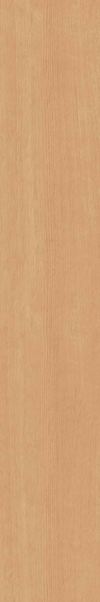 Керамогранит CW 04 19.4x120 Керамогранит CW 04 19.4x120