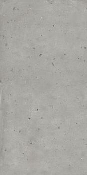 Авангард Силвер 60*120 рет