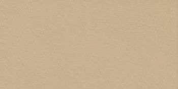 Cream Caramel 60x120