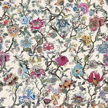 Venere Avorio 50x100