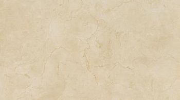 Marfil Lucidato 119.5x278