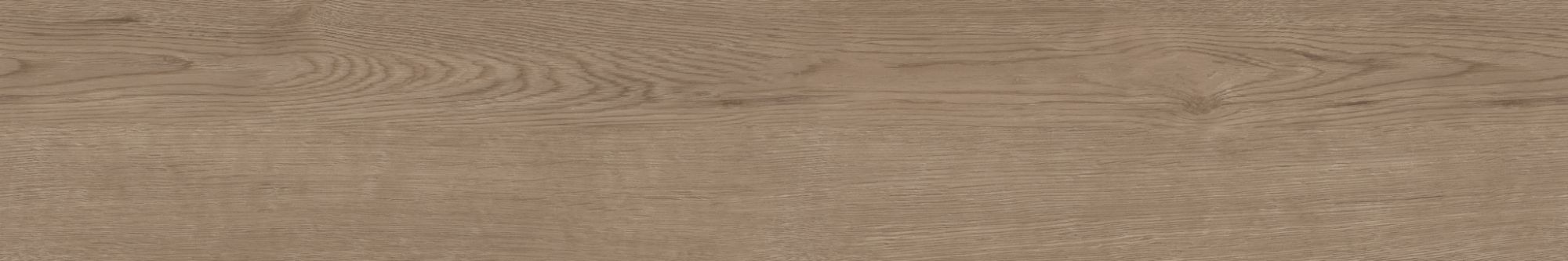 Керамогранит CW 03 19.4x120