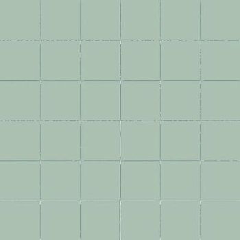 Aloe Rete 5x5 30x30
