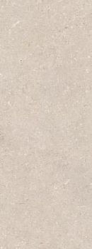 Coral Caliza 45x120