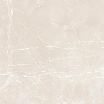 Cream Polished 59.2x59.2