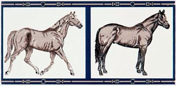 Horses Su Panna 10x20
