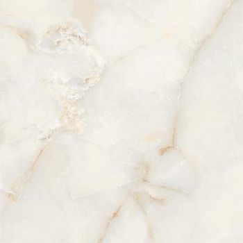 OSTRA BIANCO 120 x120 ELEGANCE