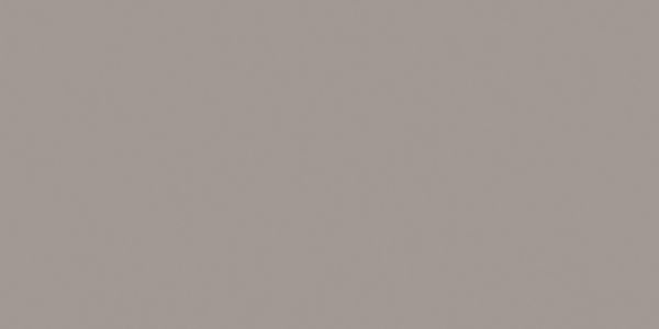 Керамогранит RW 03 60x120