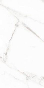 Statuario Venato Rett Lucidato 60x120