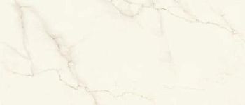 Calacatta Apuanox Silk 120x278