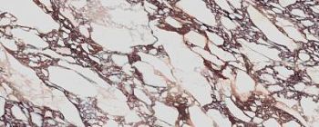 Керамогранит Laminam I Naturali Calacatta Viola Lucidato 5 Mm 120x300 арт. LAMFF01507