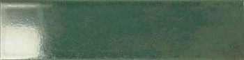 Palm 7.5x30