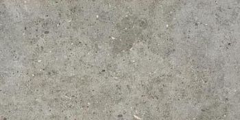 Grey 59.8x119.8