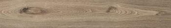 Naturale 20х120