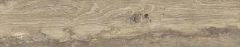 Dark Beige 20x100