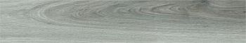 Ceniza 20x114