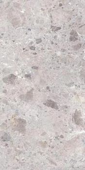 P-PETRA GREY ARTECH 60*120
